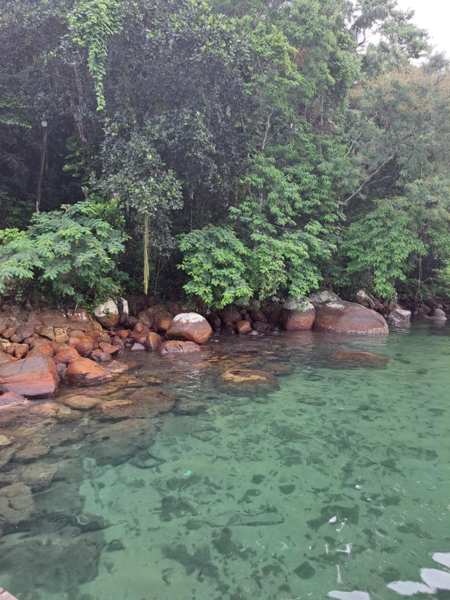 Glamping Sitio Das Tartarugas Angra dos Reis Exterior foto